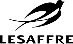 stratégie,entreprise,dirigeant,pme,compétition,conseil